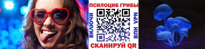 Псилоцибиновые грибы Cubensis  Купить  Вологда 