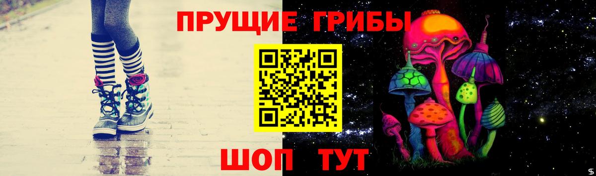 Галлюциногенные грибы MAGIC MUSHROOMS  Вход с VPN  Вологда 