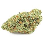 Шишки OG Kush  (Гидропоника, бошки) VHQ в Вологде